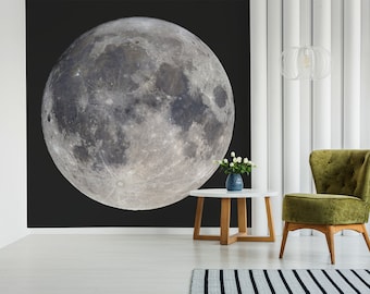 Full moon on night sky, peel and stick wall mural