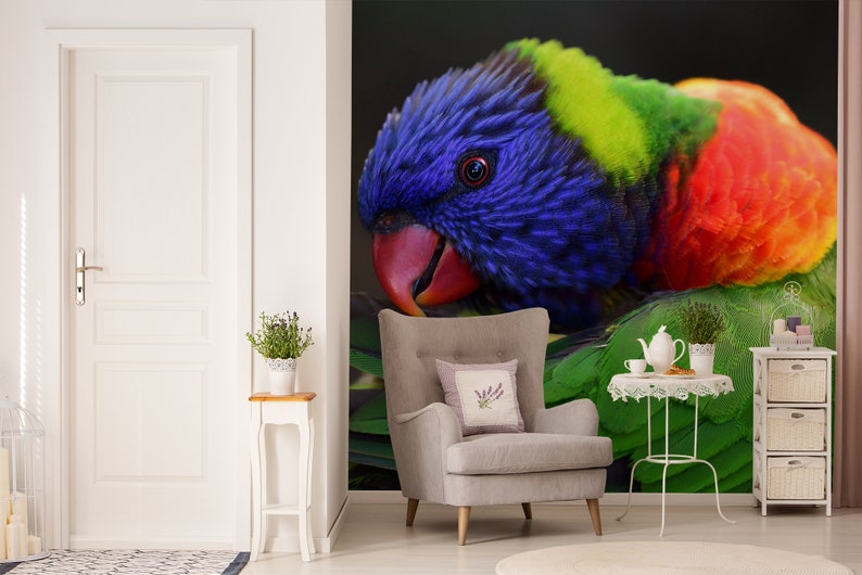 peel and stick floral wall mural self adhesive Wallpaper with a colorful parrot