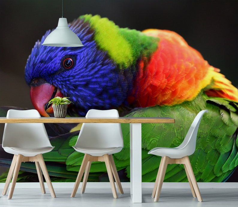 peel and stick floral wall mural self adhesive Wallpaper with a colorful parrot