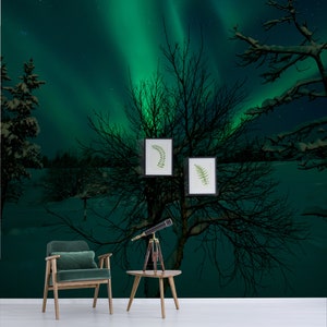 Northern lights above night winter landscape photo wallpaper | self-adhesive, removable, peel & stick wall mural, wall decor