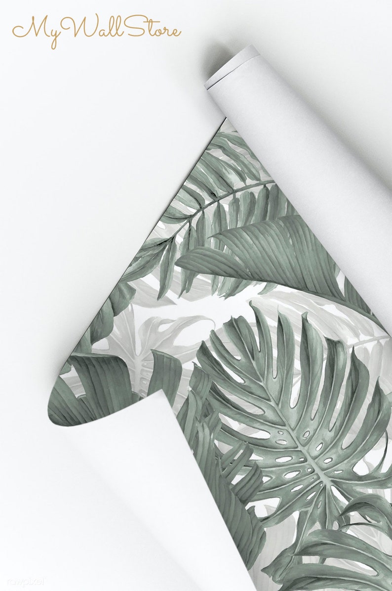 May include: A roll of wallpaper with a green and white tropical leaf pattern. The wallpaper is rolled up and partially unrolled, revealing the pattern. The text "My Wall Store" is visible in the top left corner of the image.