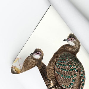 Two birds wallpaper, vintage wall mural | Peel and Stick (Self Adhesive) or Non Adhesive Vinyl Paper