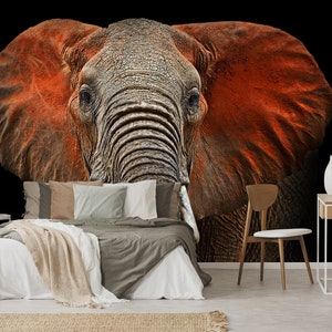 Wallpaper with elephant with red ears | self-adhesive, removable, peel & stick wall mural, wall decor