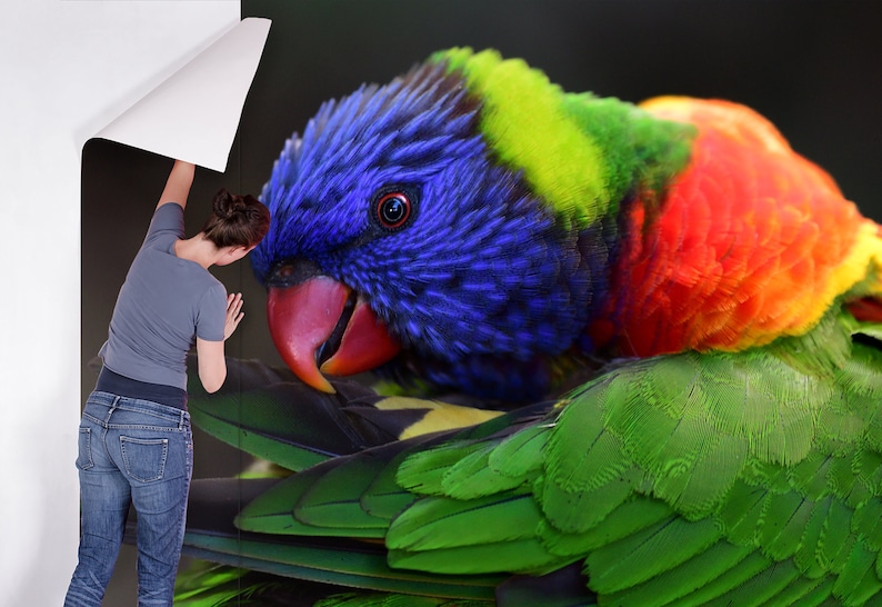 peel and stick floral wall mural self adhesive Wallpaper with a colorful parrot