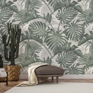 May include: A living room interior with a green and white tropical leaf patterned wallpaper. There are three potted cactus plants in the corner of the room and a brown ottoman with a white throw blanket in the center of the room.