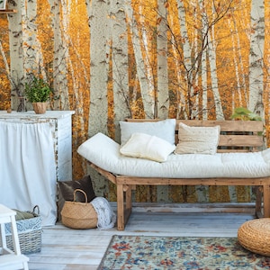 Birch autumn forest, trees, peel and stick wall mural