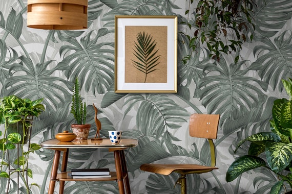 Faded Green Monstera Leaves Tropical Wallpaper, Leaf Pattern, Exotic Print | Peel and Stick (Self Adhesive) or Non Adhesive Vinyl Paper