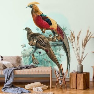 Bunte Vogel Tapete, Wall Art Wallpaper | Schälen und aufkleben (selbstklebend) oder nicht klebendes Vinylpapier