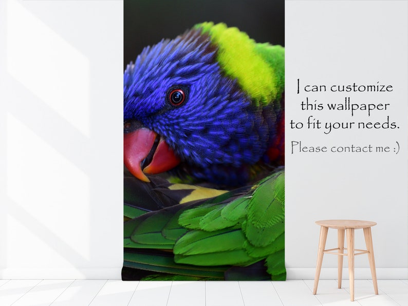 peel and stick floral wall mural self adhesive Wallpaper with a colorful parrot