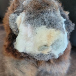 May include: A fluffy brown, white, and gray rabbit with long fur. The rabbit is curled up in a ball, with its head tucked under its body.