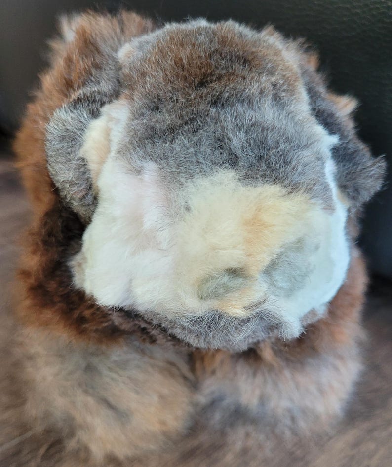 May include: A fluffy brown, white, and gray rabbit with long fur. The rabbit is curled up in a ball, with its head tucked under its body.