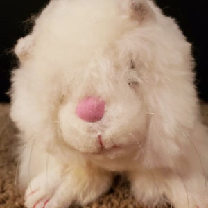 May include: White plush toy cat with pink nose and whiskers. The cat is lying down with its paws tucked under its body.
