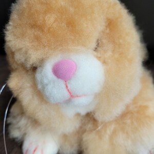 May include: A plush toy in the shape of a brown and white bunny with pink nose and red claws. The bunny is sitting with its head tilted to the side.