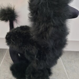 K&ouml;nnte beinhalten: Ein schwarzes Pl&uuml;sch-Pudel-Spielzeug mit einem flauschigen Fell. Das Spielzeug steht auf seinen Hinterbeinen mit seinem Schwanz eingerollt.