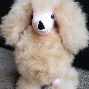 K&ouml;nnte beinhalten: Ein flauschiges, cremefarbenes Pl&uuml;schtier-Pudel mit rosa Gesicht und schwarzer Nase. Das Spielzeug hat schwarze Augen und steht auf einem hellbraunen Teppich.