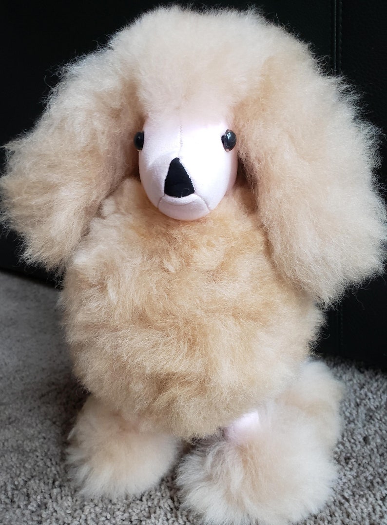 K&ouml;nnte beinhalten: Ein flauschiges, cremefarbenes Pl&uuml;schtier-Pudel mit rosa Gesicht und schwarzer Nase. Das Spielzeug hat schwarze Augen und steht auf einem hellbraunen Teppich.