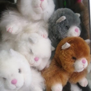 May include: A group of five plush toy cats in various colors, including white, gray, and brown. The cats have pink noses and are arranged in a pile.