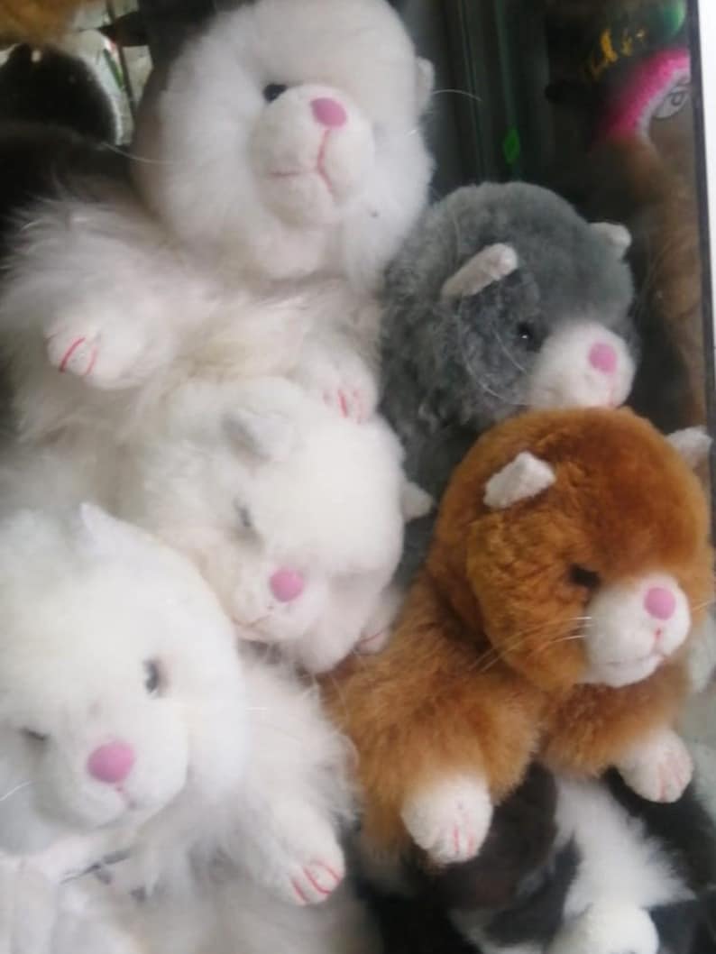May include: A group of five plush toy cats in various colors, including white, gray, and brown. The cats have pink noses and are arranged in a pile.