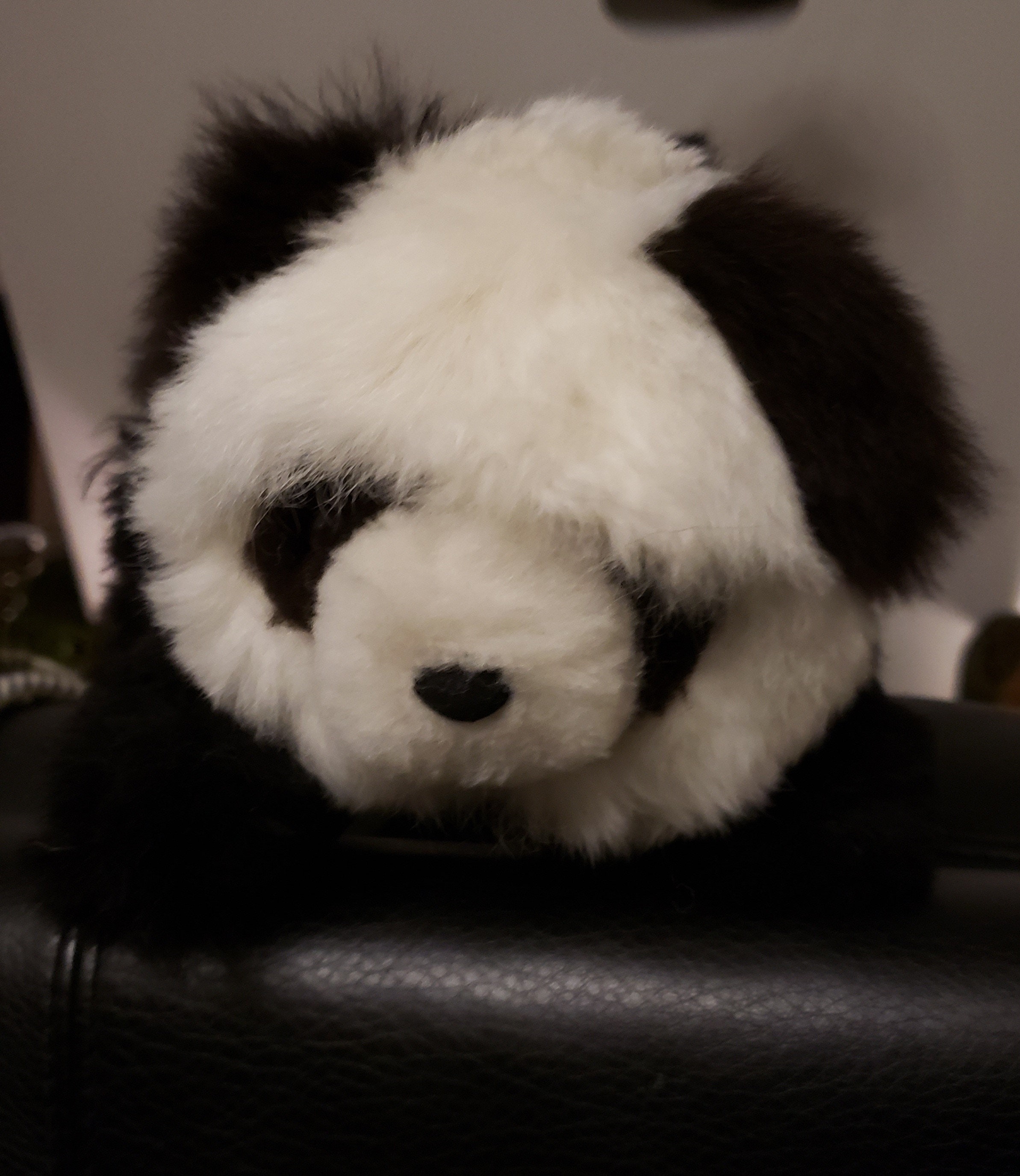 panda plush