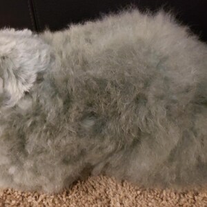 May include: A plush gray cat toy with white fur accents around the face and paws. The toy is made of soft, fluffy material and has a realistic cat appearance.