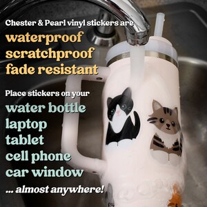May include: A light pink insulated tumbler with a handle and straw, featuring two cat stickers. Text reads: Chester & Pearl vinyl stickers are waterproof, scratchproof, fade resistant. Place stickers on your water bottle, laptop, tablet, cell phone, car window... almost anywhere!
