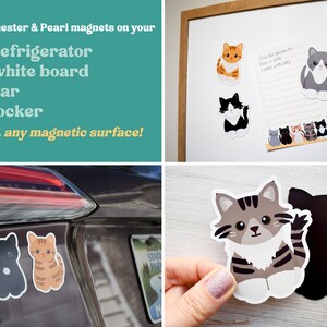 May include: A collection of cat-shaped magnets featuring various feline breeds and colors. The magnets are shown attached to a white board and a vehicle, and one is held to display the magnetic backing. The text reads: Place Chester & Pearl magnets on your refrigerator white board car locker ... any magnetic surface!