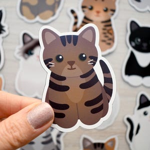 May include: A die-cut vinyl sticker featuring a cartoon brown tabby cat with dark brown stripes, large black eyes, and a small nose. The cat is sitting in a forward-facing position with its tail curled to the side, surrounded by other cat stickers.
