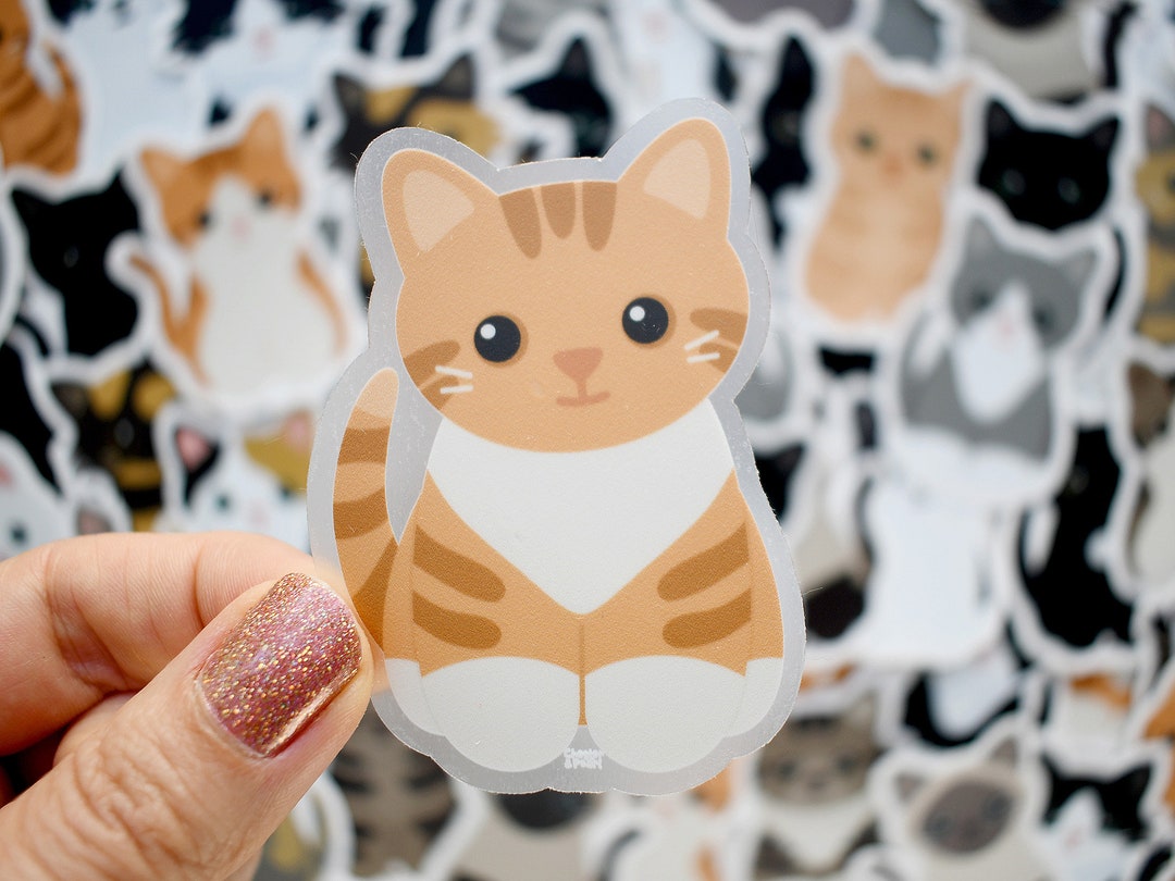 Orange Tabby Tuxedo Cat Vinyl Sticker for Water Bottle and Laptop, Cute ...