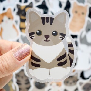 May include: A die-cut vinyl sticker featuring a cartoon-style brown and white tabby cat with large black eyes, dark brown stripes on its head and body, and white paws. The cat is sitting in an upright position with its tail curled to the side.