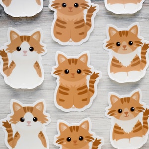 May include: A set of ten orange and white cat stickers with different poses. The stickers are on a light wood background.