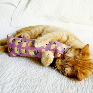 tabby cat toy, tabby cats in a box, cat in cardboard box, kicker cat toy with silvervine, catnip kicker, funny cat toy, cat birthday gift