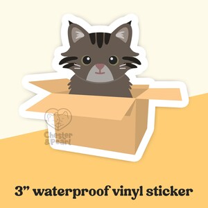 tabby cat sticker, cats in a box cat sticker, cat in cardboard box, tabby cat decal, tabby cat art, tabby cat gift, cat gift for friends