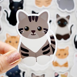 May include: A die-cut sticker featuring a cartoon brown and gray tabby cat with dark stripes, large black eyes, and white paws. The cat is sitting in a forward-facing position with a white chest patch and a striped tail curled to the side.
