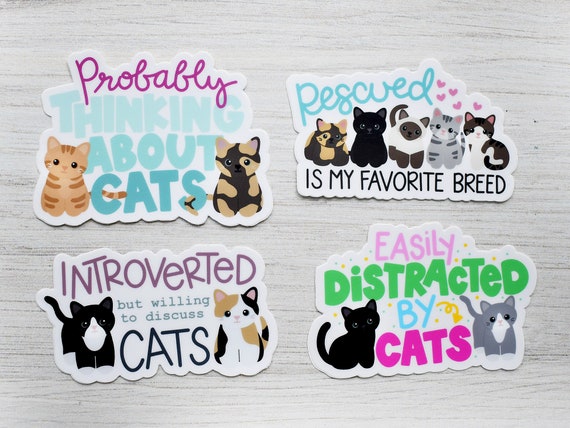 set of 4 funny cat stickers for laptop, cute cat sticker pack for water bottle, waterproof vinyl cat decals for car, cat lover gifts for mom