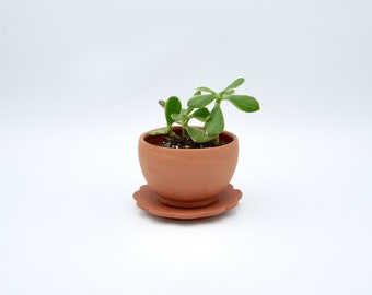 Tiny Sitting Planter
