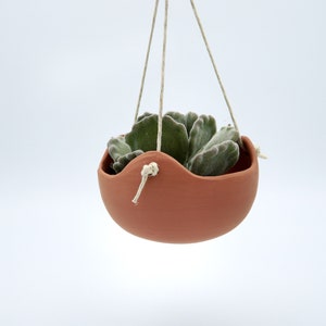 May include: A hanging terracotta-colored ceramic planter with a green succulent plant. The planter is suspended by three off-white cords tied to the rim. The plant has soft, fuzzy leaves.