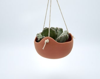 Tiny Hanging Planter