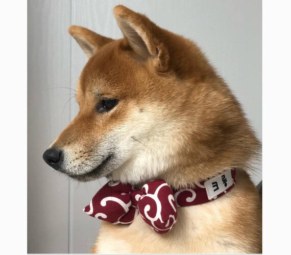 Karakusa Custom Embroidery Bowtie Collar Embroider Your Pets Name Shiba Inu Japanese Fabric Shiba Fabric Buckle Type