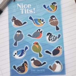 May include: A sticker sheet with cartoon bird illustrations in various colours. The text "Nice Tits!" is at the top, with the text "Tits (the birds)" and the artist's social media handles at the bottom. The sticker sheet is on lined paper.