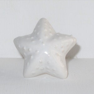 Peut inclure: Ornement en forme d'étoile de mer en céramique blanche avec une surface texturée.