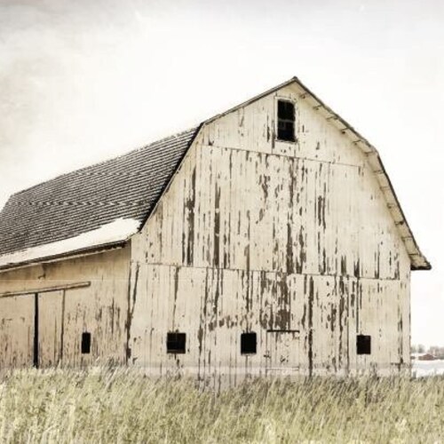 Out on the Farm Redesign Rubon Transfer Furniture Etsy