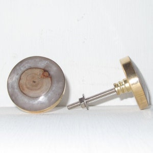 Wood Knot Resin Knob - Brass Furniture Hardware - Dresser Drawer Pull