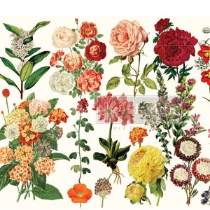 Papier de découpage Forest Garden reDesign - 1 feuille 19 x 30 po