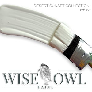 May include: A close-up of a white paint swatch on a paintbrush. The paint is from the Desert Sunset Collection by Wise Owl Paint and is called Ivory.