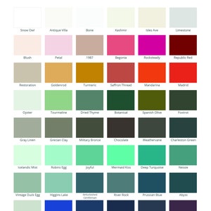 CSP - Robins Egg - Wise Owl Synthesis Paint - Zero VOC - Non Toxic Paint - Chalk Mineral Paint - Up to 80 square feet coverage bild 4