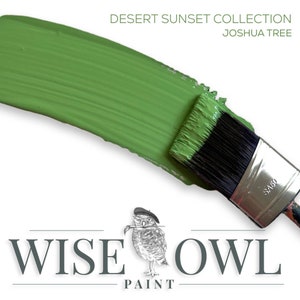 May include: A paint brush with a green paint stroke on a white background. The paint is from the Wise Owl Paint brand and is part of the Desert Sunset Collection, Joshua Tree.