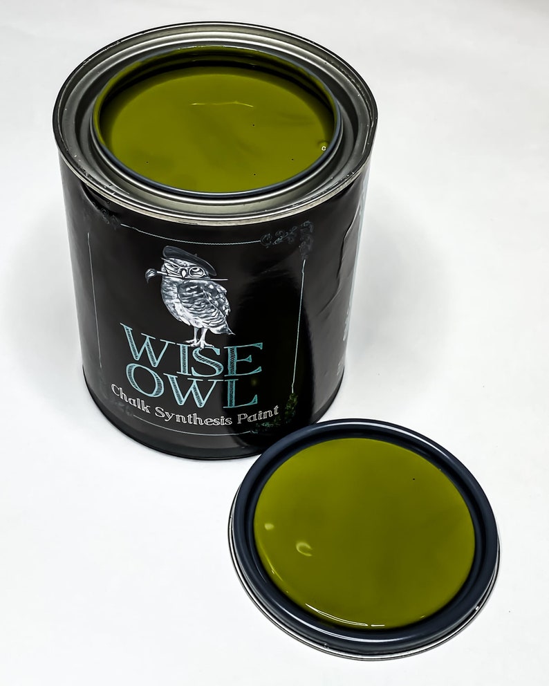 May include: A can of Wise Owl Chalk Synthesis Paint in a deep green color. The can has a black label with a white owl illustration and the brand name.