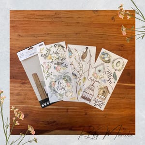 Garden Marvels Birds Rub-On Transfer - reDesign mit Prima - 6 "x 12" (3 Bogen)