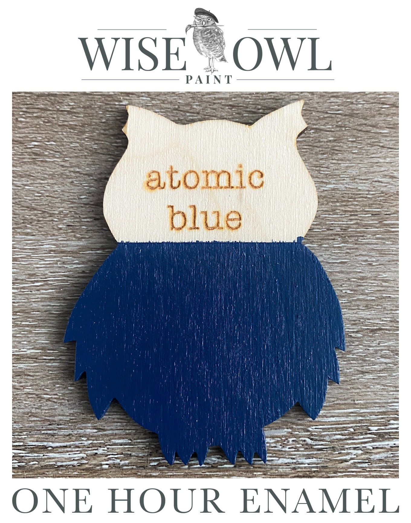 Atomic Blue Enamel Paint: Wise Owl One Hour Finish (32oz Quart)