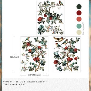 May include: Decorative floral transfer set featuring roses, birds, and branches in red, teal, and brown. The set includes three separate designs, with the largest measuring 8.5 inches (21.5 cm) wide and 11 inches (27.9 cm) tall. The text "THE ROSY NEST" is visible.